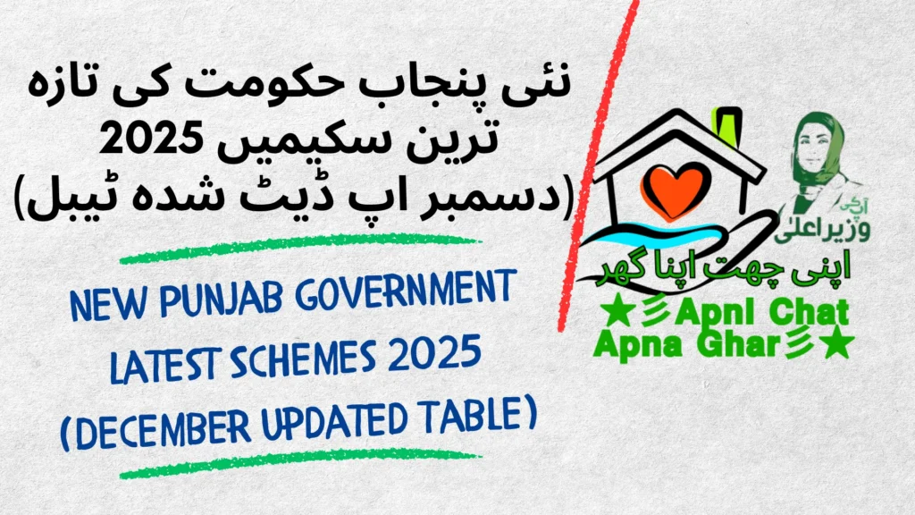 New Punjab Government Latest Schemes 2025 (Updated Table)